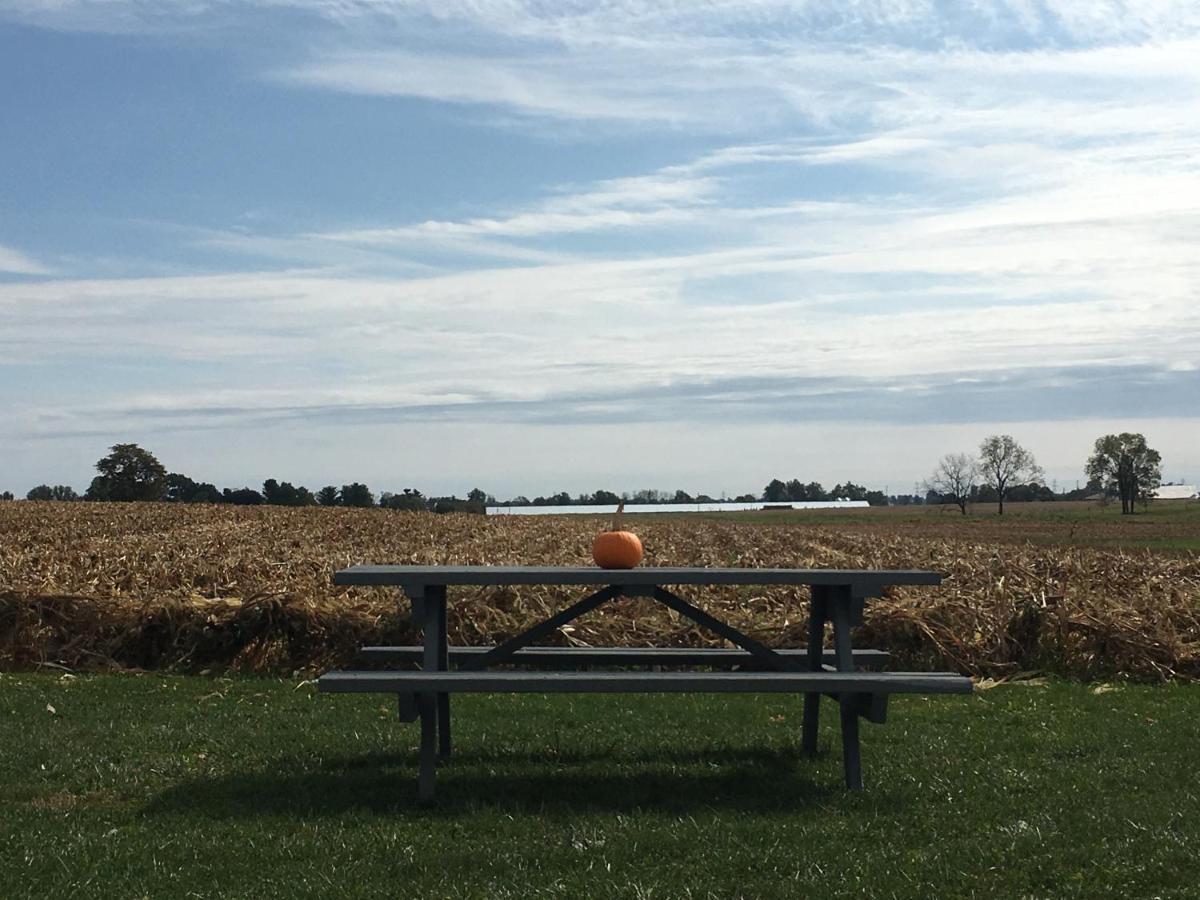 Hertzog Homestead 2* Ephrata